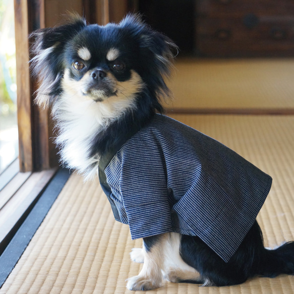 和裁のプロが仕立てた『渋くてかわいい』！わんちゃん用ハッピ（縞柄 