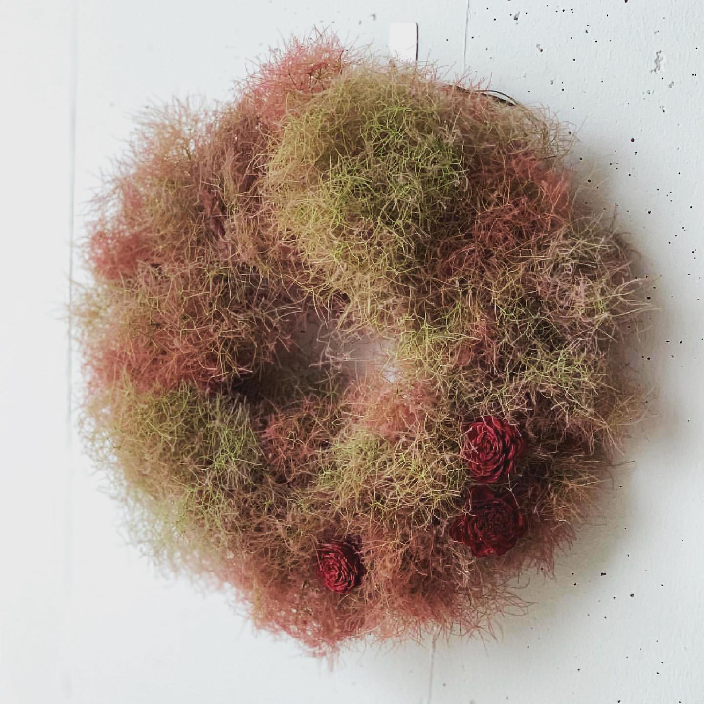 期間限定・スモークツリーのふわふわリース・生花5月末〜6月中迄