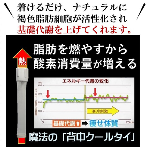 健康 ダイエット器具 冷却グッズ  暑さ対策 汗対策 熱中症対策 健康グッズ「背中クールタイ」 お得なセット 送料無料 9枚目の画像