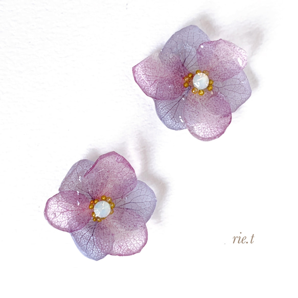 再販2【rie.t】本物の紫陽花 ピアス／イヤリング 2枚目の画像