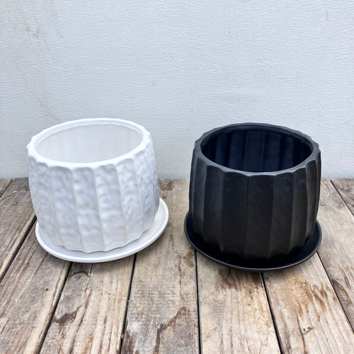 コウモリラン」「ビカクシダ」ビフルカツム＊コロンとしたかわいい陶器