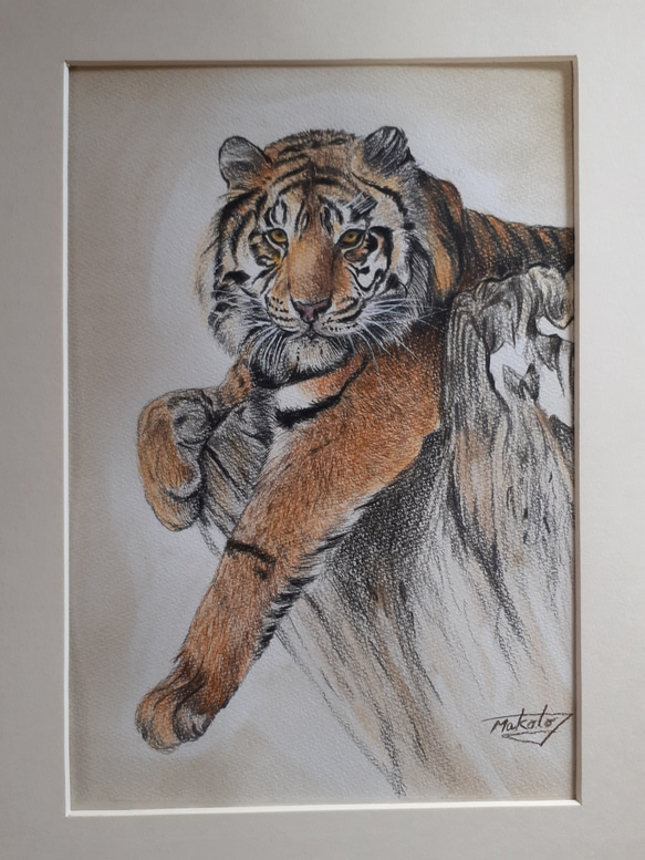 色鉛筆画 Tiger 絵画 makochin 通販｜Creema(クリーマ) 14089888