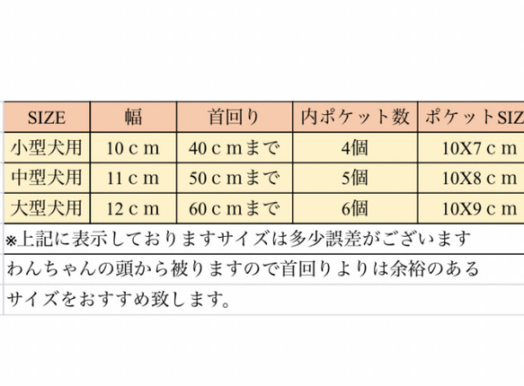  第6張的照片