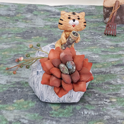 療癒造型擺飾:石頭上的小老虎和多肉植物 | 迷你筆筒 第1張的照片