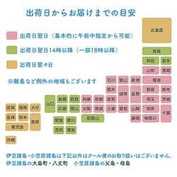 送料無料 エスキィス トゥンカロン4個セット【4種類セット】韓国スイーツ プレゼント ご自宅用 8枚目の画像