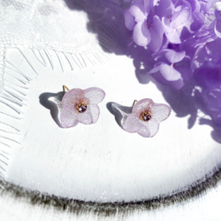 シンプル紫陽花ピアス／イヤリング（ライラックパープル） 2枚目の画像