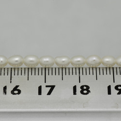 淡水パール　ライス(細長い型)　ホワイト3.5×5mm前後　AA級品 商品番号3103AA 3枚目の画像