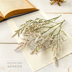 1点物　リトルウッズ　ドライフラワー　R-577　11/26まで 1点物 リトルウッズ ドライフラワー R-577 11/26まで 1点物 リトル