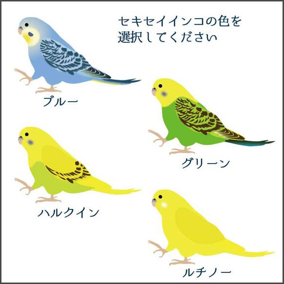 【セキセイインコ】 牛革 名刺入れ レディース メンズ 本革 ステアレザー カラフル カードケース カードポケット 10枚目の画像