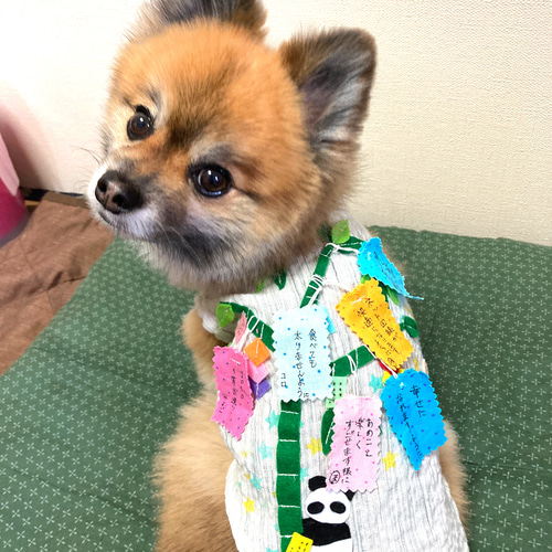 犬服 前開き 七夕 ペット服・アクセサリー mosi⭐︎smo 通販