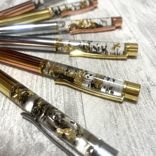 隕石ボールペン✨宇宙通貨ボールペン ✨✨ 隕石通貨ボールペン✨オーダーページ ☆宇宙からのギフト☆ 【隕石の粉入りボールペン】＜送料無料＞ ペン