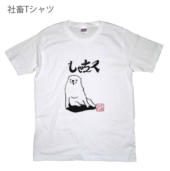 Creema限定 春の福袋　メンズTシャツ　２枚セット 2枚目の画像