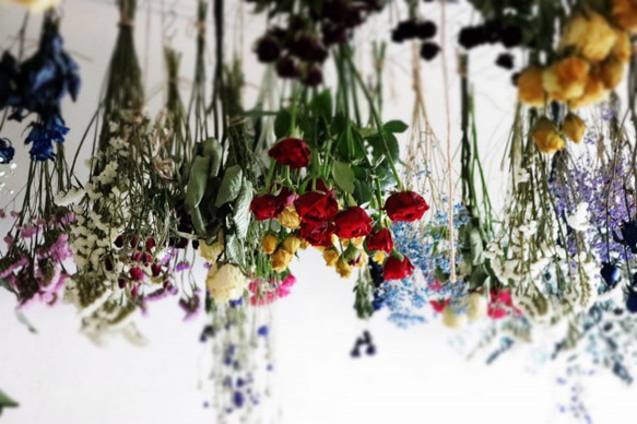 fleur message「お名前のイメージから束ねた花束」ガラス瓶の光る植物標本(直径8cm×高さ17.5㎝) 7枚目の画像