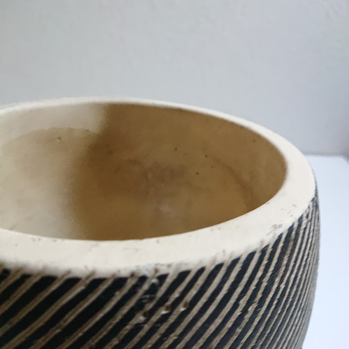 ○数量限定○新作○希少○ スタイリッシュな樹形 ”アロエ テヌイオール