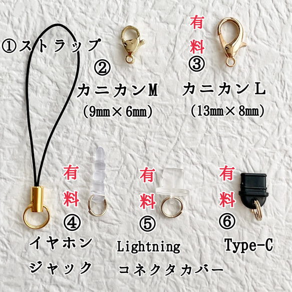 952 ディープシャンパンクォーツ×モリオン　天然石　お守り　チャーム 4枚目の画像