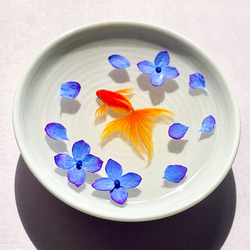 小皿で泳ぐ金魚　紫陽花　　インテリア雑貨　ミニチュア 3枚目の画像