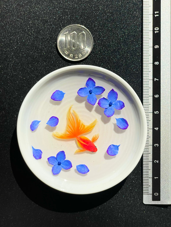 小皿で泳ぐ金魚　紫陽花　　インテリア雑貨　ミニチュア 9枚目の画像
