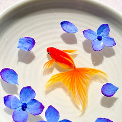 小皿で泳ぐ金魚　紫陽花　　インテリア雑貨　ミニチュア 6枚目の画像