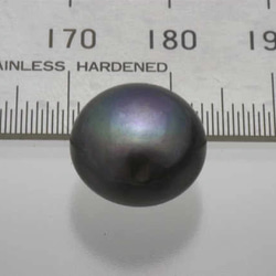 淡水パール　片穴ルース　ボタン型ポテト　ブルーブラック　12-13mm AB-B級品 商品番号5412AB 4枚目の画像