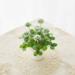 完成品　粘土　シロツメクサ　白い素焼き鉢編 2枚目の画像