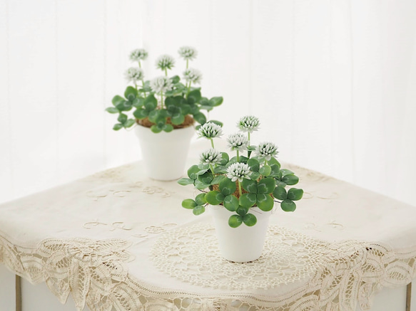 完成品　粘土　シロツメクサ　白い素焼き鉢編 1枚目の画像