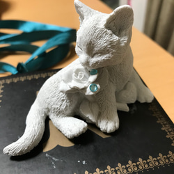 fdd5c27dba5224d76360456da85bad