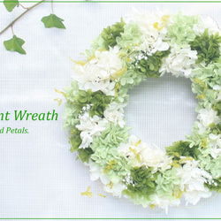 白とグリーンが爽やかな紫陽花のリース　ウェルカムリースや両親贈呈、ご結婚祝いにも 送別ギフト2024　W067 1枚目の画像