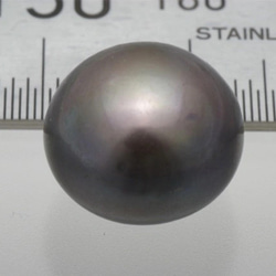 淡水パール　片穴ルース　ボタン型ポテト　ブルーブラック　13-14mm AB-B級品 商品番号5413AB 4枚目の画像