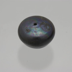 淡水パール　片穴ルース　ボタン型ポテト　ブルーブラック　16mm AB級品 商品番号5416AB 3枚目の画像