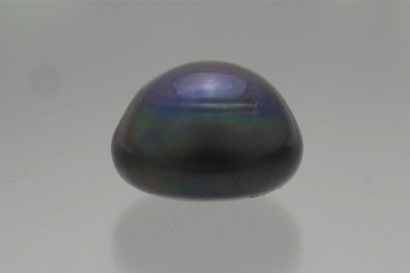 淡水パール　片穴ルース　ボタン型ポテト　ブルーブラック　16mm AB級品 商品番号5416AB 1枚目の画像