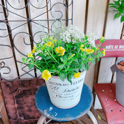 ラスト！さわやか♡【レモンスライス入りミニサイズ寄せ植え】白系ブリキ鉢♪可愛いお花のガーデニング♡ 5枚目の画像