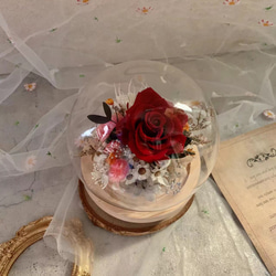 永生玫瑰水晶球 鍾罩(附禮盒) /花禮 / 紀念日 / 居家擺飾 第1張的照片