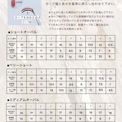 ネイルチップ  《No.36》　オーロラネイル うるうる 透け感 ホイルネイル 虹色 5枚目の画像