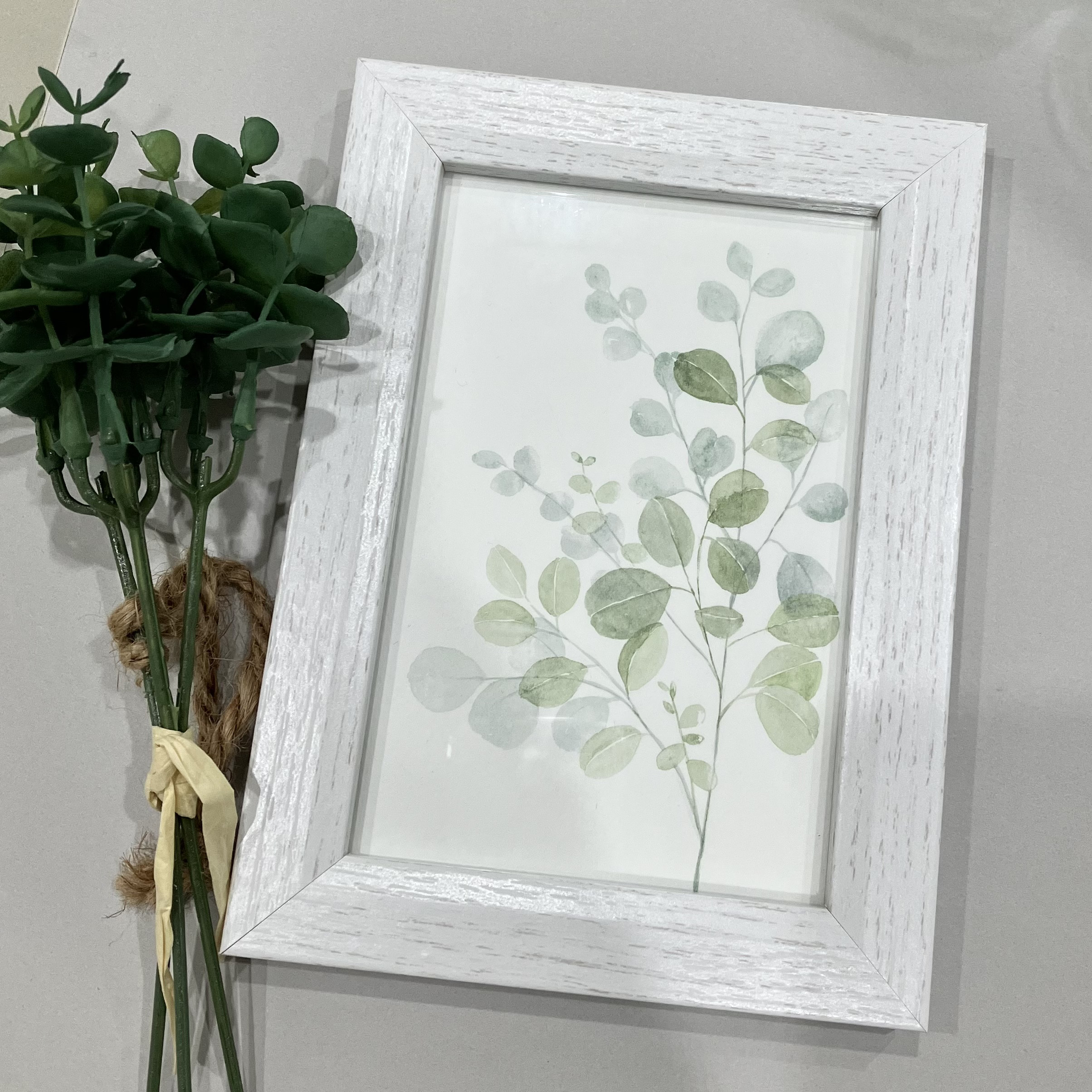 水彩画:原画］eucalyptus0012 ユーカリ 絵画 Shion_art 通販
