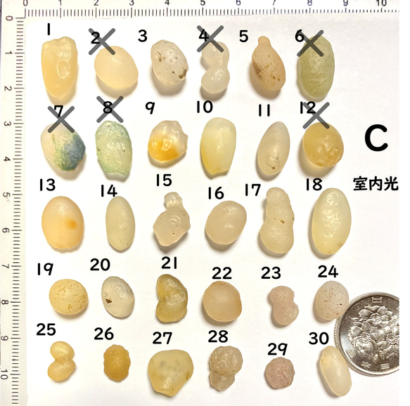  第2張的照片