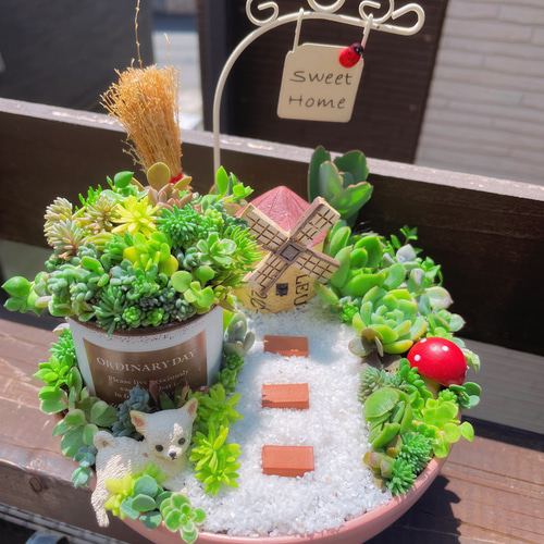 多肉寄せ植え♬箱庭♬子豚 多肉寄せ植え♬箱庭♬子豚 多肉寄せ植え♬箱庭♬子豚