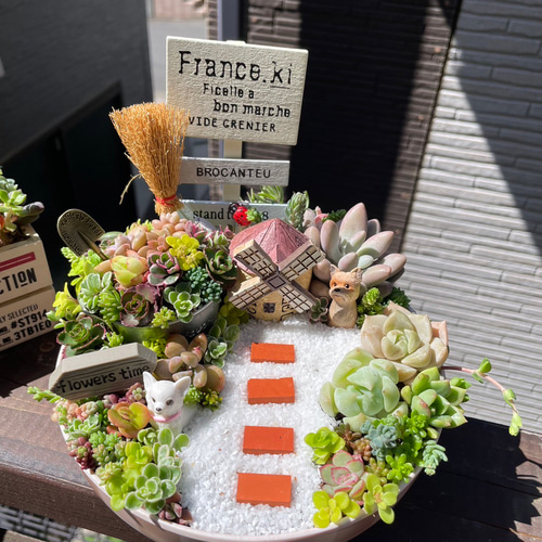 受注制作 円形わんちゃんにゃんこ箱庭風多肉植物寄せ植え 多肉
