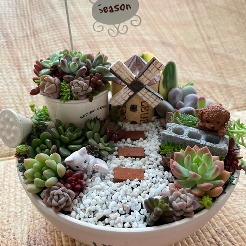 受注制作 円形わんちゃんにゃんこ箱庭風多肉植物寄せ植え 多肉