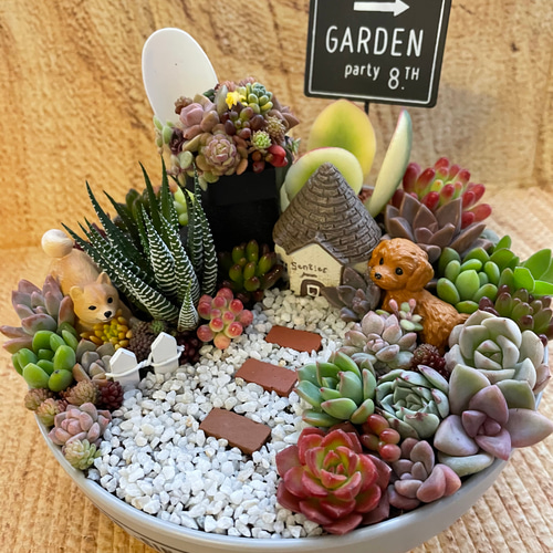 受注制作 円形わんちゃんにゃんこ箱庭風多肉植物寄せ植え 多肉植物