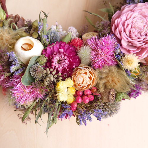 カラフルドライフラワーハーフリース ドライフラワー FLOWERSTORY