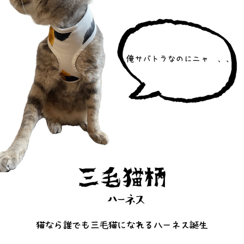 三毛猫 (=´ᆺ`=) ] ハーネス 猫 猫用ハーネス ペット服・アクセサリー 