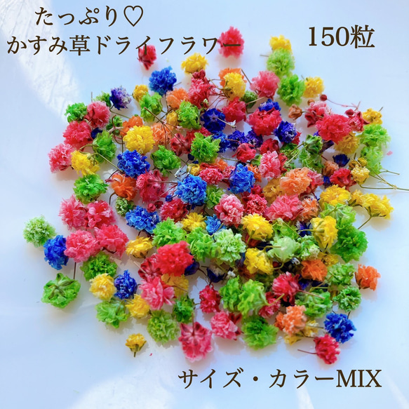 たっぷり かすみ草 ドライフラワー 150個以上 カラーミックス 染め加工