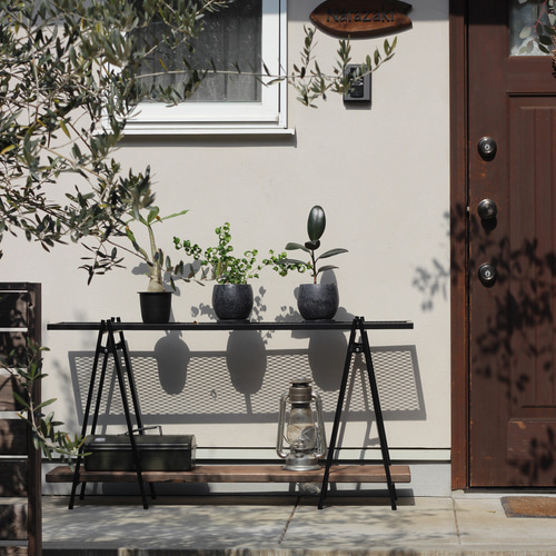 アイアンシェルフ（M）アイアンラック アイアン家具 塊根植物 植物棚