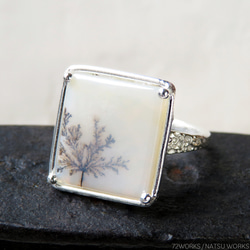 デンドリティック アゲートリング / Dendritic Agate Ring 4 1枚目の画像