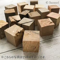 ▦16種16C『世界の木樹の標本／cube（に）：B級キューブのお手軽セット』世界の樹の標本TreeSpecimen 1枚目の画像