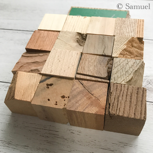 美しい木の実のようなキリアツメ【標本】 美しい木の実のようなキリアツメ【標本】