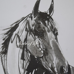 馬のポートレート２０２２（A4サイズ、墨絵、水彩画用紙） 2枚目の画像