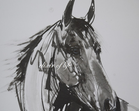 馬のポートレート２０２２（A4サイズ、墨絵、水彩画用紙） 2枚目の画像