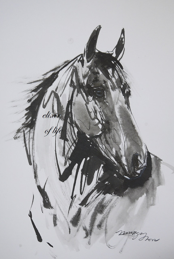 馬のポートレート２０２２（A4サイズ、墨絵、水彩画用紙） 1枚目の画像