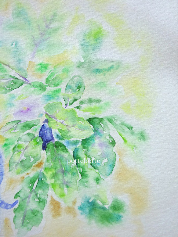 【原画】茄子の花 / ポテとゆきだるまん 2021.08.22～ 水彩画　no.136 7枚目の画像